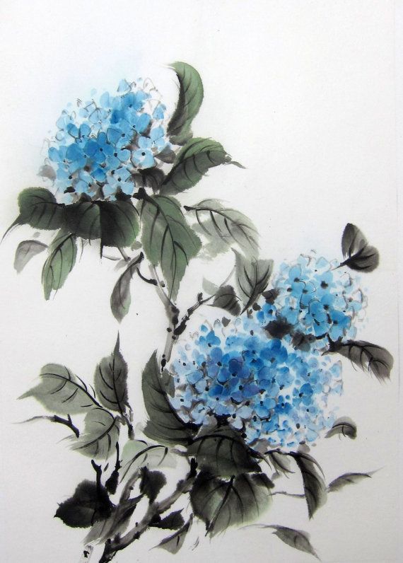 Ajisai - japońska hortensja Japoński słownik kwiatów - jakie jest znaczenie i symbolika kwiatow takich, jak sakura, ume, hortensja, lilia, lotos itp. - Historia i kultura Japonii.