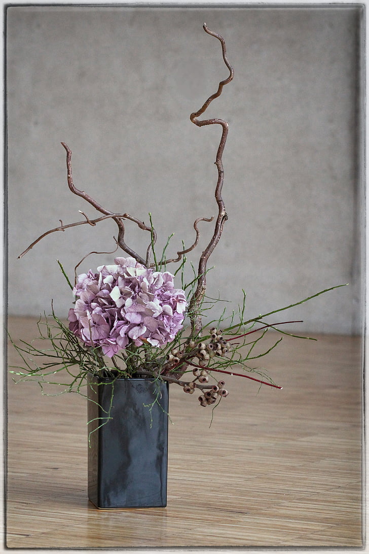 Hortensja (ajisai) w japońskiej sztuce kwiatowej ikebana. Artykuł o historii, znaczeniu i symbolice hortensji (kwiatu Ajisai) w japońskiej kulturze i sztuce.