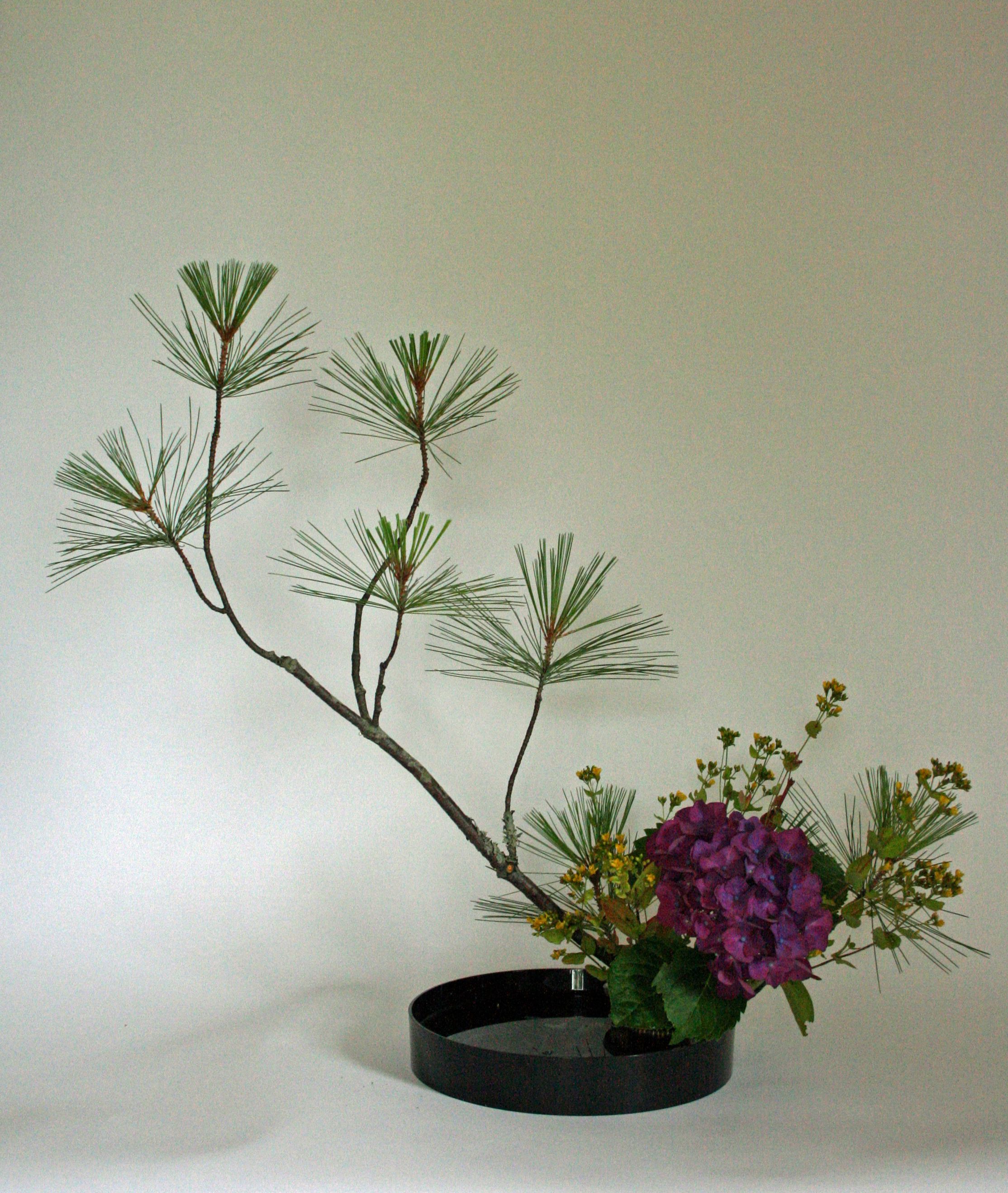 Ikebana z hortensją (ajisai) w roli głównej, Japonia. Artykuł o historii, znaczeniu i symbolice hortensji (kwiatu Ajisai) w japońskiej kulturze i sztuce.
