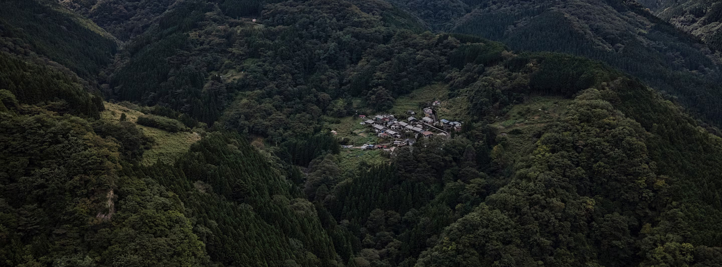 Wioska Mitsune z legendy o Kodama i drzewie Samidare Artykuł o japońskim youkai lub kami Kodama - duchy drzew. Kodama - znamy z Księżniczki Mononoke Hayao Miyazakiego, ale czym na prawdę są w japońskiej mitologii i wierzeniach?