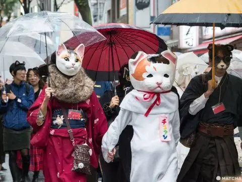 Bakeneko cosplayers in Bakeneko Kagurazaka Matsuri in Tokyo, Japan. Essay on dark cat demons (youkais) from Japanese mythology and shintoistic beliefs - Bakeneko. Bakeneko in culture and histpory of Japan, its role in Japanese manga, anime and games.