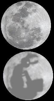 In Japan the symbol of hare is connected with the moon. Japanese folklore and legends. Essay about the har (rabbit/bunny) symbol and troppe in Japanese culture and history, legends and mythology of Japan in opposition to Easter tradition of Europe. Hare in Japanese folklore, anime, manga, video games.