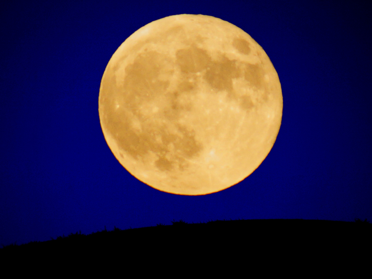 Moon was one of the favourite topics of Japanese poet Sei Shonagon. Essay about Sei Shonagon, a Japanese female poet from Heian period, author of the Makura no Soshi - how to learn mono no aware and wabi sabi from her. Japanese literature and history.