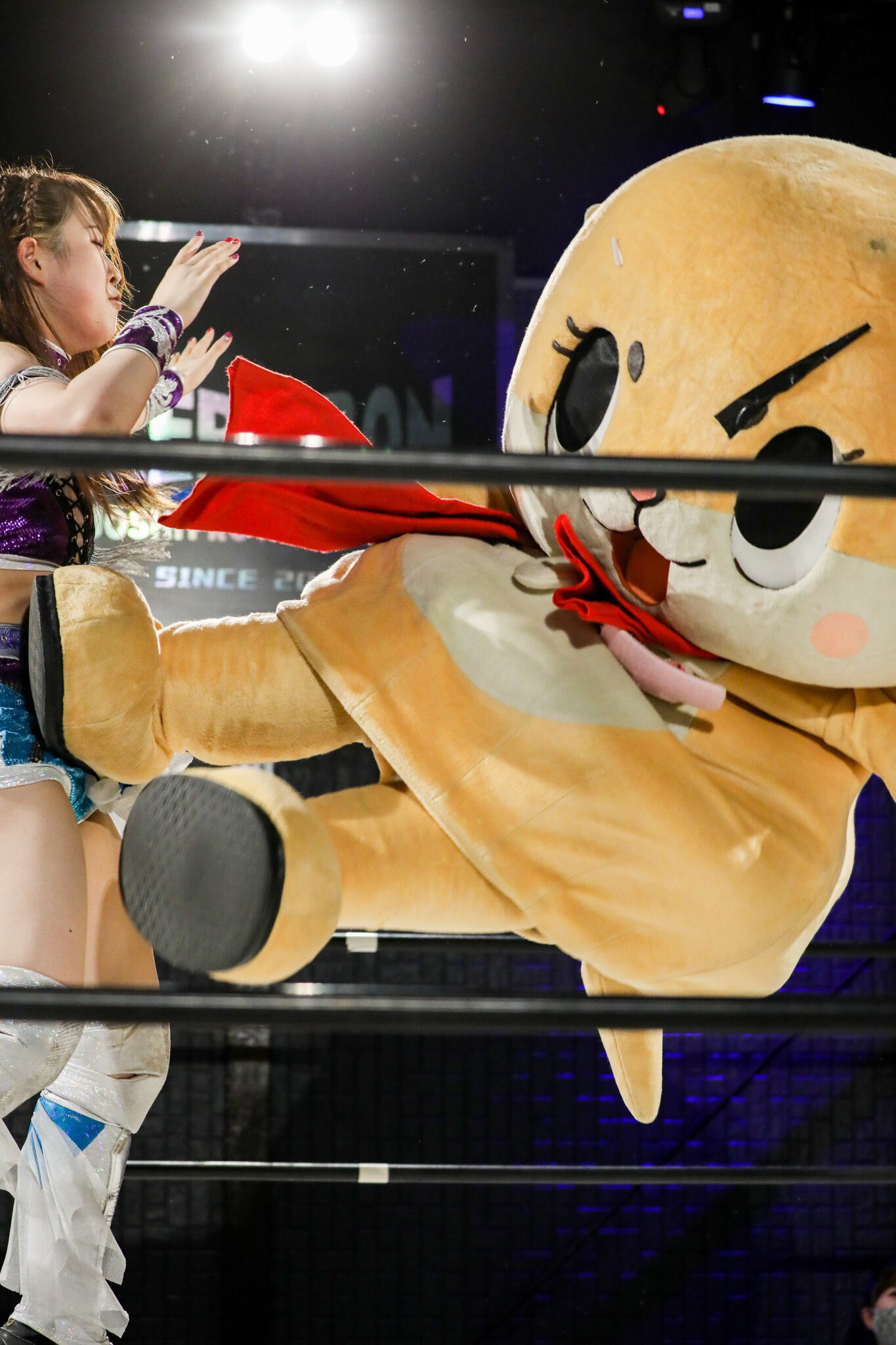 Futro, które zarabia miliardy - Yuru-kyara, czyli jak każda japońska mieścina ma swoją pocieszną pokrakę Yuru-kyara – japońskie maskotki, które promują miasta, tańczą w TV i zarabiają miliardy yenów. Poznaj ich historię, najbardziej zwariowane postacie i wpływ na gospodarkę Japonii.