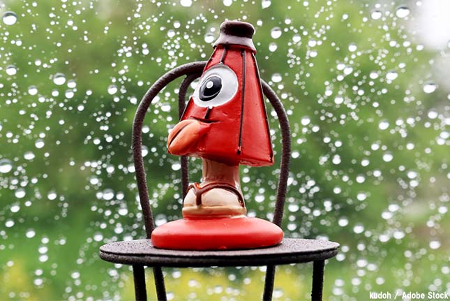 Tsukumogami - maskotka parasola. Artykuł o japońskich youkai rzeczy poszednich - Tsukumogami. Japońska mitologia i shintoistyczny folklor w Tsukumogami.