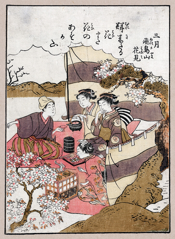 Traditional Japanese painting with sakura (cherry blossom) -  Article, essay on Japan's history and culture - what is the meaning of Sakura (cherry blossom) in traditional and modern Japan, manga and anime.