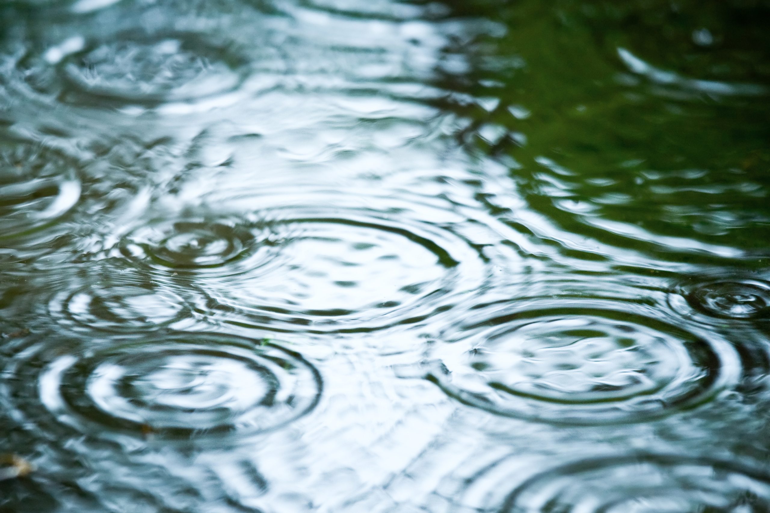 Motyw deszczu w japońskiej sztuce ukiyo-e Motyw deszczu w japońskiej sztuce ukiyo-e