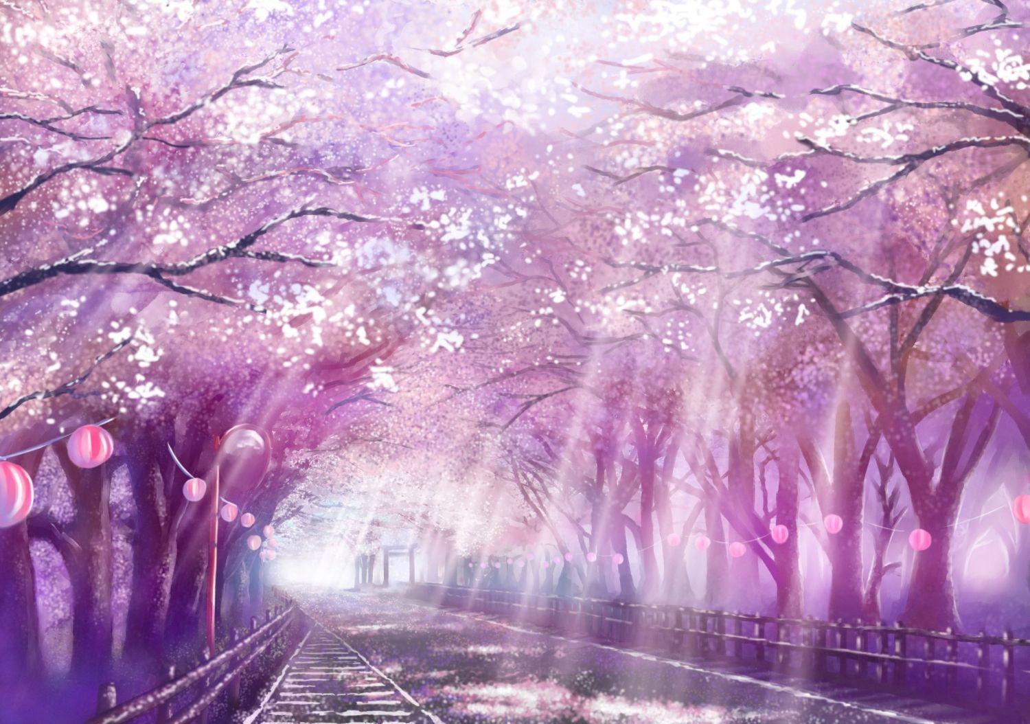 Cherry blossom called sakura in Japan, manga and anime. Article, essay on Japan's history and culture - what is the meaning of Sakura (cherry blossom) in traditional and modern Japan, manga and anime.