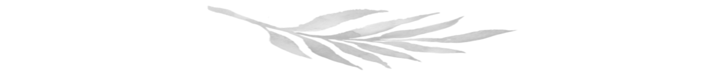 Autumn Walk with the Masters of Haiku – Feeling “Japanese” among Polish Birches An autumn walk through a Polish forest leads to an encounter with Bashō and Issa — the masters of ancient haiku. A reflective essay on how, within simple images of nature, lies the Japanese art of sensing the world: silence, coolness, light, and the presence of what simply is.