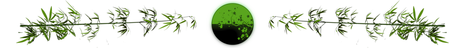 Ikebana: japońska sztuka mówienia kwiatami - separator w artykule o japońskiej sztuce kwiatowej Ikebana - sztuka układania kwiatów, medytacji mono no aware i kontemplacji stylu wabi-sabi z Japonii.