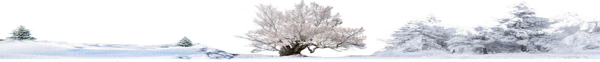 Polacy pionierami w badaniach nad ludem Ainu na Hokkaido - separator tekstu Esej o polskim wkładzie w badania nad ludem Ainu na wyspie Hokkaido w Japonii. Rola Bronisława Piłsudskiego w badaniu kultury Ajnów. Inne badania Ainu - prof. Majewicz, dr. hab. Golik. - separator tekstu