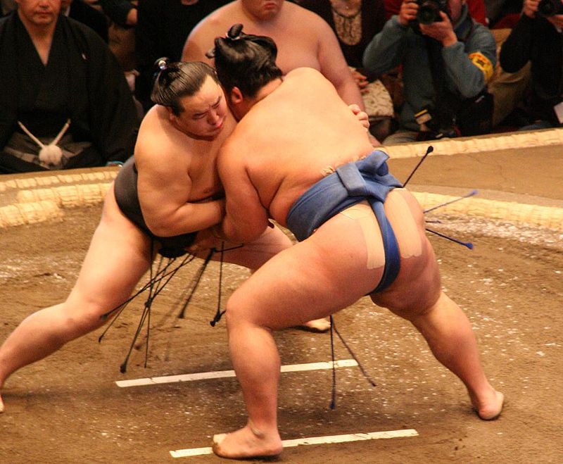 Walka sumo - japońska sztuka walki. Esej o japońskim sporcie / sztuce walki: sumo. A także historia największego rikishi sumo - Raidena Tameemona. Historia Japonii.