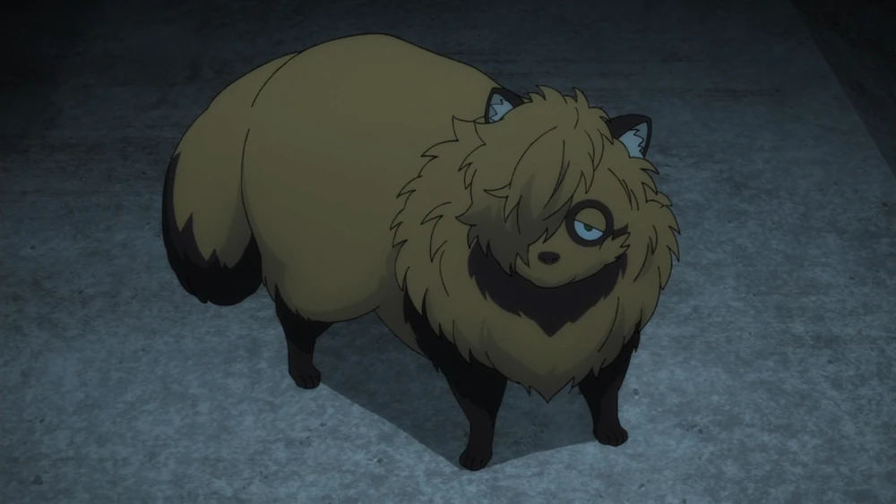 Tanuki to Yokai - zwodnicze szopy w japońskim folklorze. Artykuł o Yokai w japońskim folklorze, ich rodzaje i występowanie, ioch rola w kulturze, mandze i anime Japonii. Bestiariusz 0 główne yokai, ich opis i występowanie w anime.