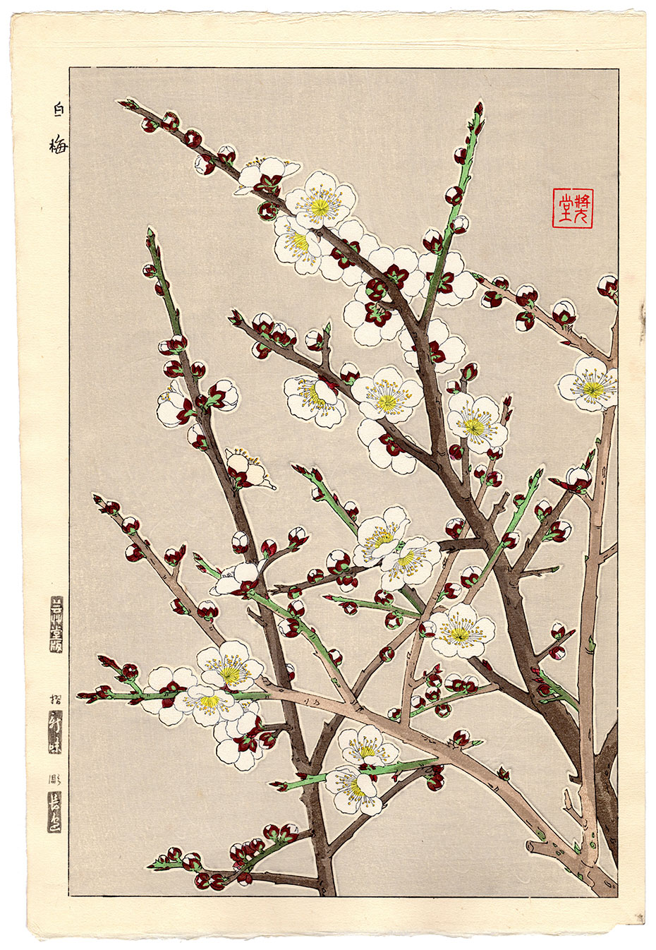 Japoński kwiat ume Japoński słownik kwiatów - jakie jest znaczenie i symbolika kwiatow takich, jak sakura, ume, hortensja, lilia, lotos itp. - Historia i kultura Japonii.