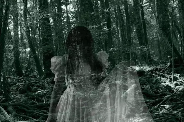 Yurei ghosts in Aokigahara, the Forest of Suicides in Japan. Article about Aokigahara (Jukai) - the Suicide Forest in Japan. Japanese social problems such as high suicide ratio and countermeasures. The Suicide Forest of Aokigahara vs Japanese mythology and youkai demons from shinto beliefs.