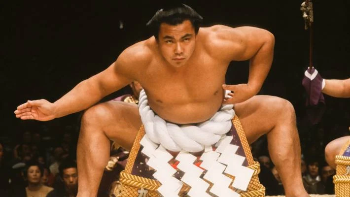 Dlaczego Raiden Tameemon nie otrzymał tytułu Yokuzuna? Japonia, historia sumo. Esej o japońskim sporcie / sztuce walki: sumo. A także historia największego rikishi sumo - Raidena Tameemona. Historia Japonii.
